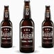 suzana-mujakovic-baron-brewery-beer-bottle