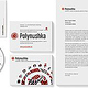 Corporate Design für Folkloreensemble || CD, CD-Cover, Flugblatt, Briefvorlage