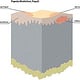 Haut Effloreszenzen Knoten 3D Block
