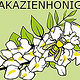 H Akazienhonig1−500g  Bienenflügel gelb
