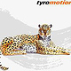 TyroAnimals – Jaguar