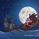 Weihnachtskarte für den Kunden Nutrilite