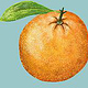 Orange, digitale Illustration, 2020