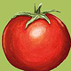 Tomate, digitale Illustration, 2020