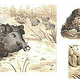 Illustrationen für Kinderbuch „Die Mugnuffs“