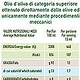 Olio extravergine di oliva italiano Rückenetikett