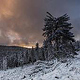 Sonnenuntergang im Wald