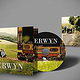 CD Coverdesign für Band Erwyn
