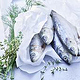 Marius Prions Photo FOOD / Fisch, roh, in Papier, Kräuter
