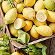 Marius Prions Photo FOOD / Lemon, organic, fresh