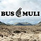 Logodesign für BUSMULI