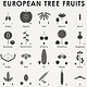 European Tree Fruits