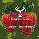 Silver Vape Design Melon Strawberry