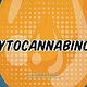 Endocannabinoid System Frontier Pharmaceutical That Works Media 09