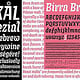 Birra Bruin Typeface Design