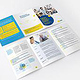 GillenDesign Cancer Courcil Protfolio Flyer3