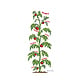 Illustration Tomatenpflanze