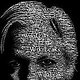 Julian Assange Typografie – Adobe Photoshop