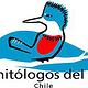 Ornithologist group logotype
