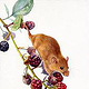 Maus und Brombeeren – naturalistische Illustration