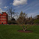 Red house Kew