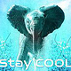 Stay Cool