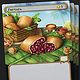 Frutata – Preview on Card