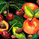 Aprikosen und Kirschen Aquarell