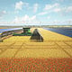 3D-Visualisierungen AGRI-Photovoltaik/ Mähdrescher auf dem Weizenfeld