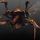 Alien Insect