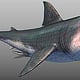 Megalodon wire