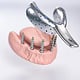 Zahnmedizin und Implantologie Infografics