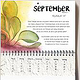 September – Feldsalat „VIT“; Aquarell; Handillustriert