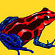 Poison Dart Frog