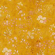 Wildflower Meadow Mustard