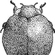 Janet bug 05 10.25cmx14cm