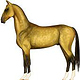 Akhal Teke