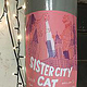 Sister City Cat BREMEN – CHICAGO 2018
