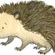 Igel