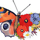 biodiversität // illustration für das alnatura magazin i.A. usus.kommunikation