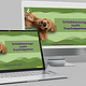 Webseite für Tierheim