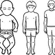 Körperproportionen