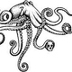 Oktopus