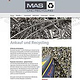 MAS-Recycling Webiste