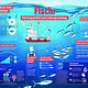Infografiken für ein Poster über den Fischfang. Marine Stewardship Council
