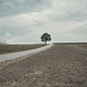 Einsame Strasse und ein Baum auf dem Hügel // Musikvideo // Vintage Look