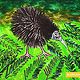 Septembird-23 – Tag 7 – Vogel:Kiwi