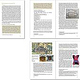 Kapitel im Seitenverlauf mit Hervorhebung besonderer Texte, sowie Fussnoten