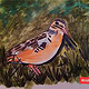 #Septembird 23 – Tag 8 – Vogel:American Woodcock.