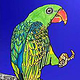Septembird-23 – Tag 15 – Vogel:Großschnabel Papagei